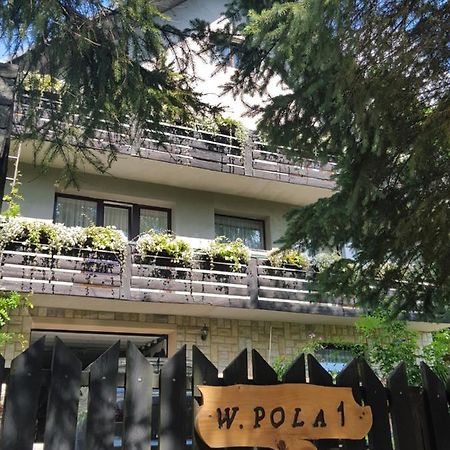 Pokoje Goscinne U Gochy Ustrzyki Dolne Dış mekan fotoğraf