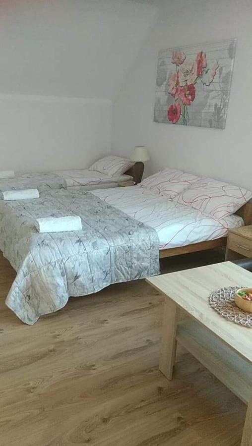 Pokoje Goscinne U Gochy Ustrzyki Dolne Dış mekan fotoğraf