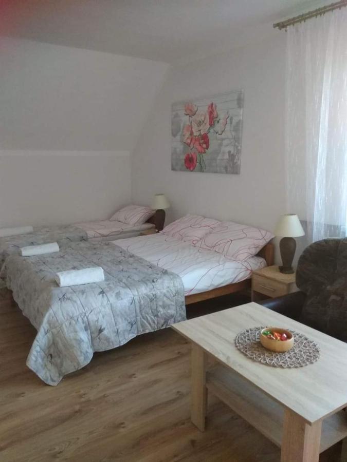 Pokoje Goscinne U Gochy Ustrzyki Dolne Dış mekan fotoğraf