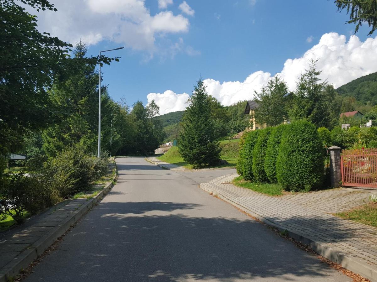Pokoje Goscinne U Gochy Ustrzyki Dolne Dış mekan fotoğraf